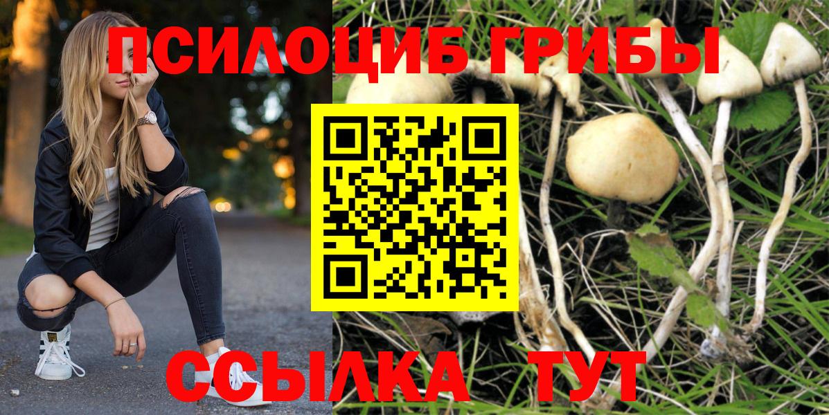 Новоалександровск  Галлюциногенные грибы MAGIC MUSHROOMS  Вход с VPN 